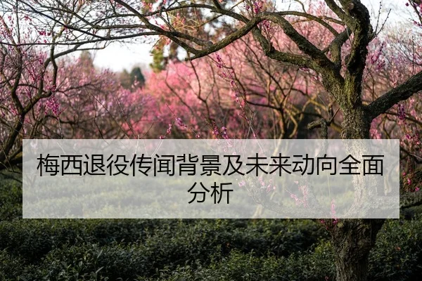 梅西退役传闻背景及未来动向全面分析