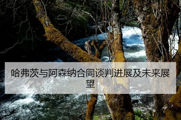 哈弗茨与阿森纳合同谈判进展及未来展望